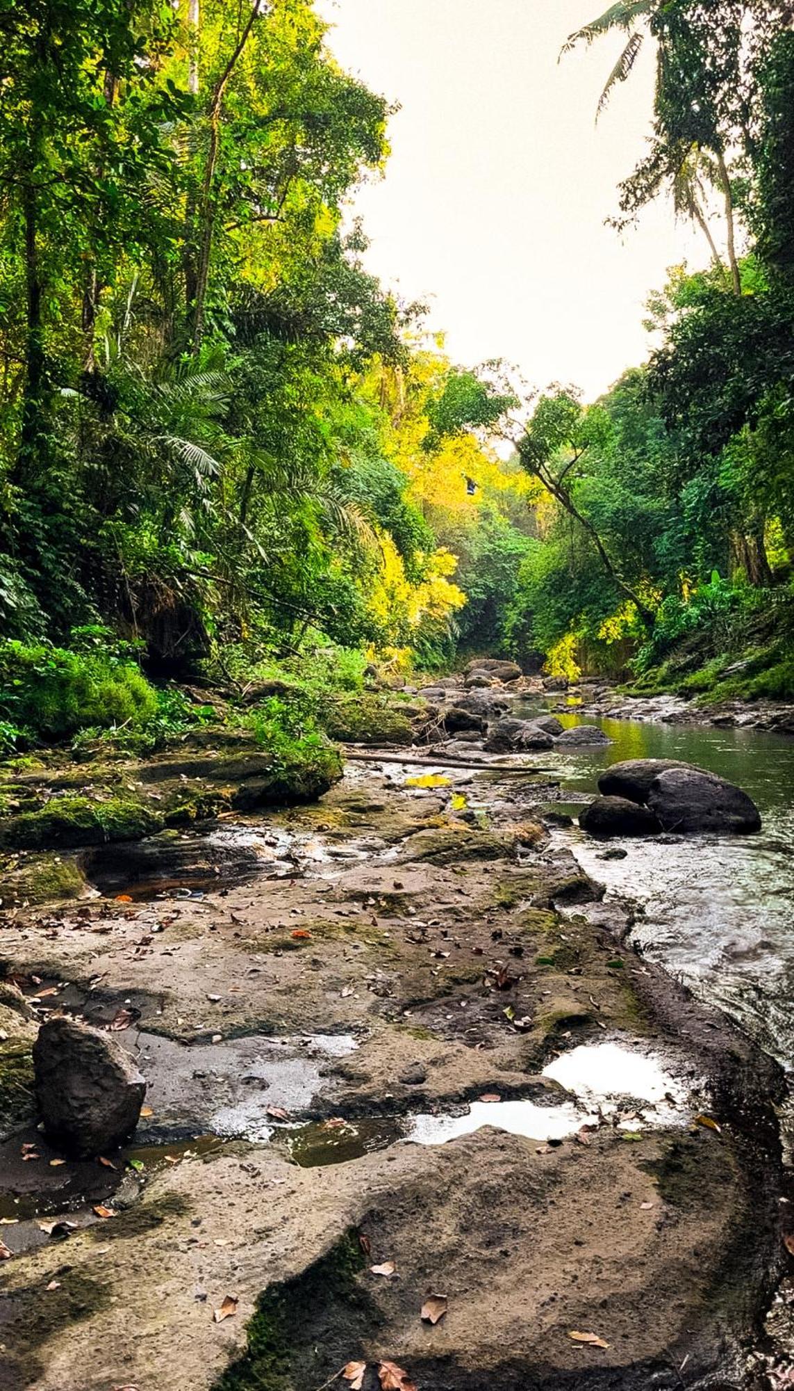 ホテル Nunu Bali Eco Friendly Retreat チャングー エクステリア 写真