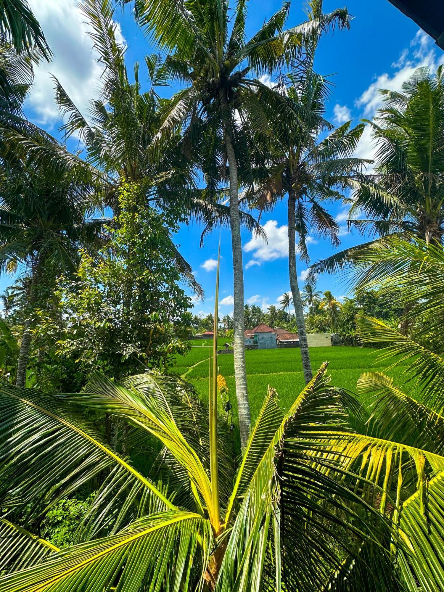 ホテル Nunu Bali Eco Friendly Retreat チャングー エクステリア 写真